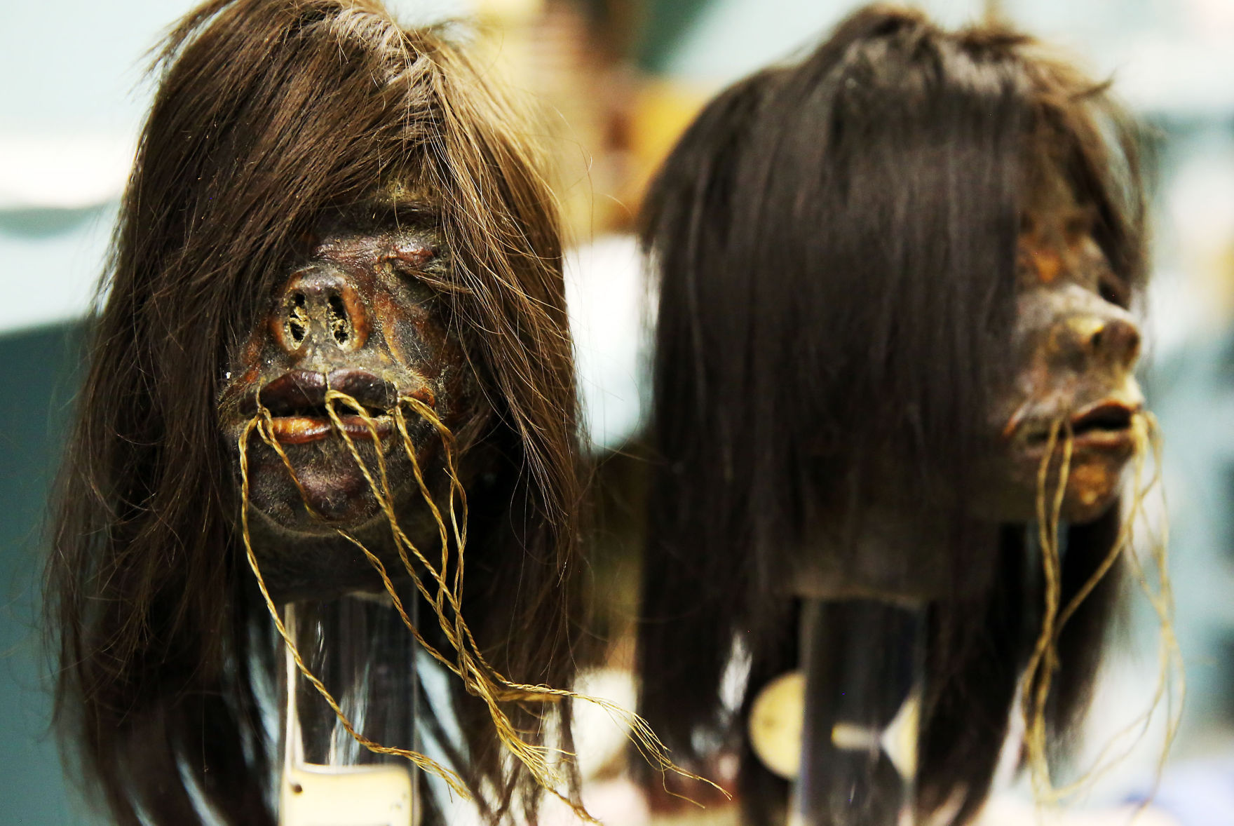 Off Limits: Putnam Museum